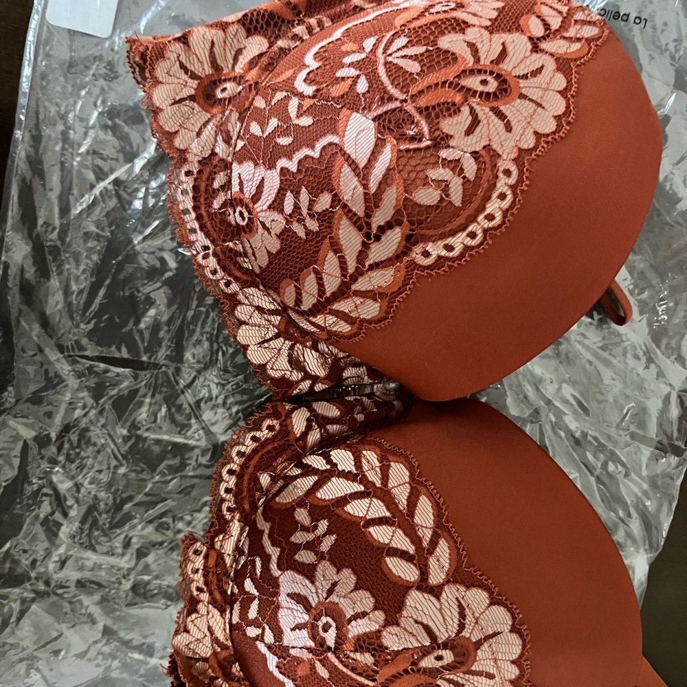 Frederick's of Hollywood Rust Lace Bra